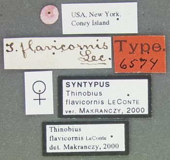 Media type: image;   Entomology 6574 Aspect: labels